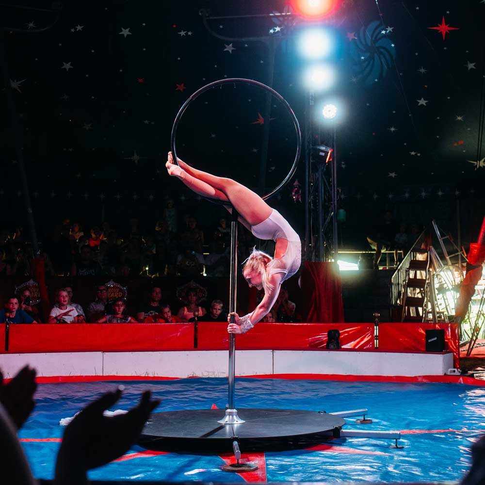 circuspikard